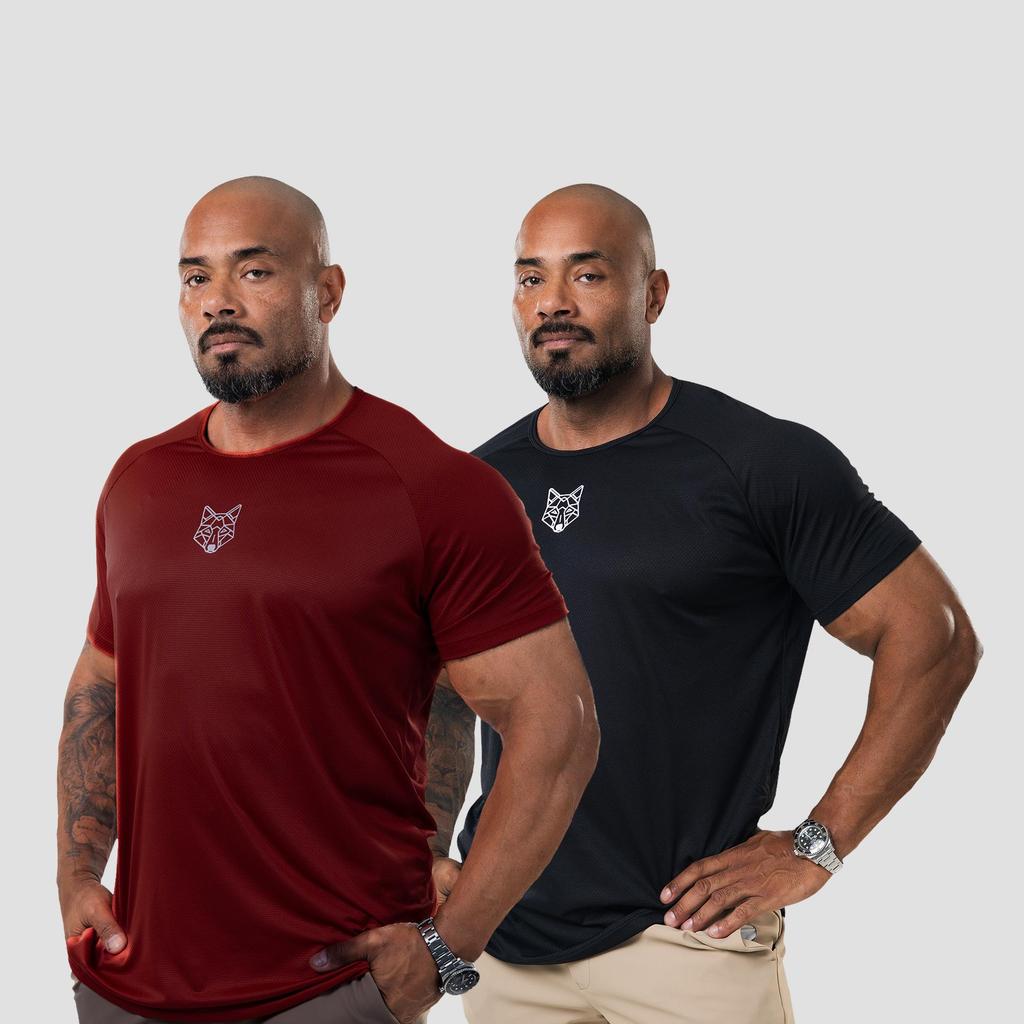 Kit 2 Camisetas Masculina Dry Alpha Co